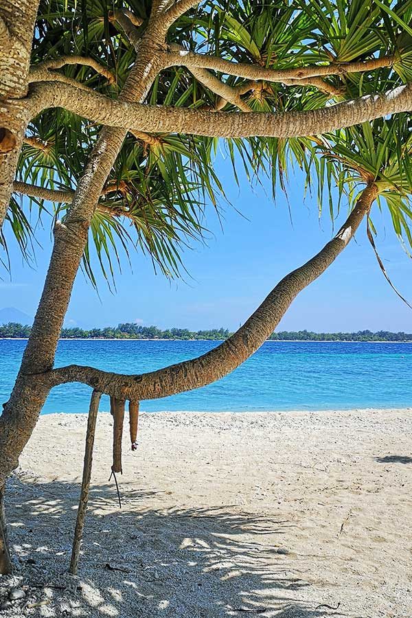 Palms-Sea-Gili-Air Palms-Sea-Gili-Air