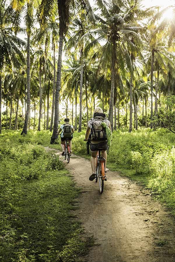 Villa-Tokay-Bike Villa-Tokay-Bike