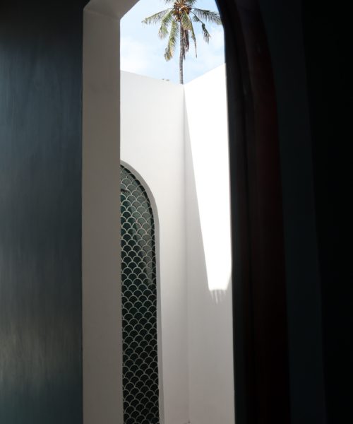 Villa-Tokay-The-Tide-Shower-Outdoors-Palmtree