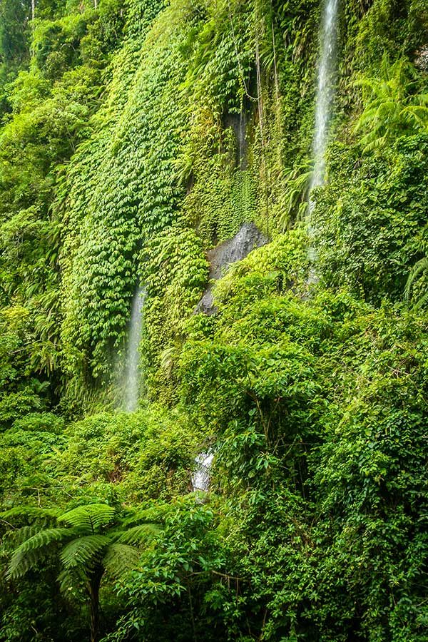 lombok-waterfall lombok-waterfall